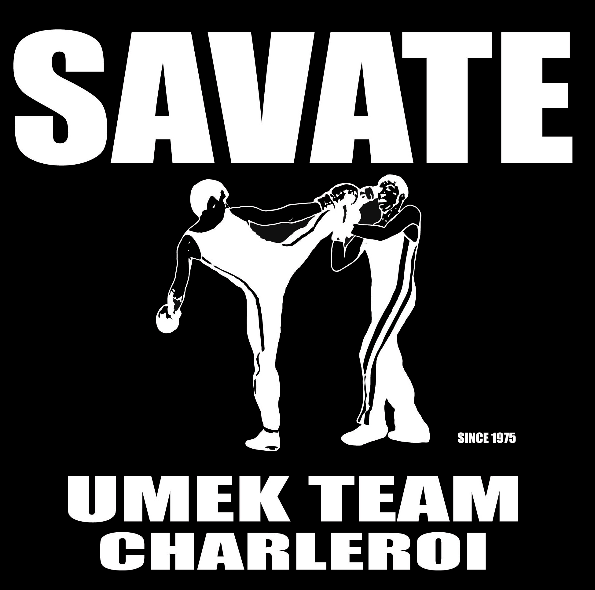 logo team